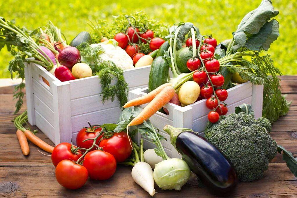 15 Tanaman Sayuran yang Cepat Panen dalam Waktu Seminggu