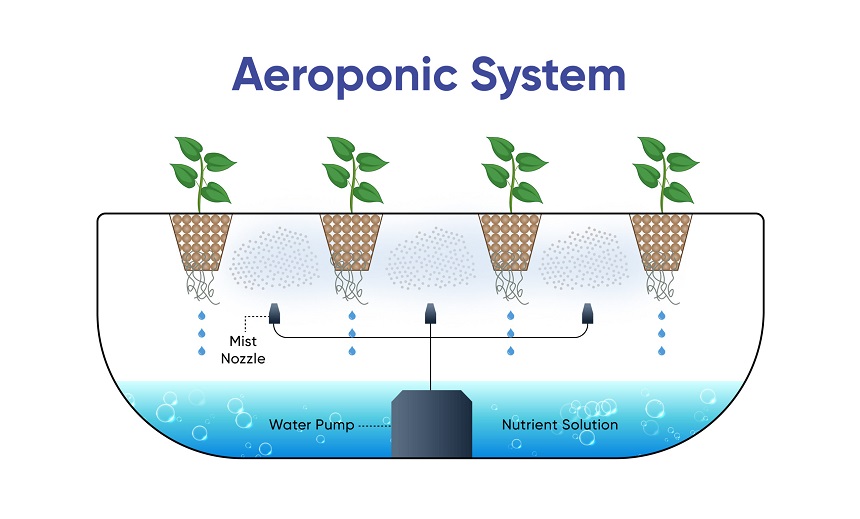 Sistem Aeroponik tanaman