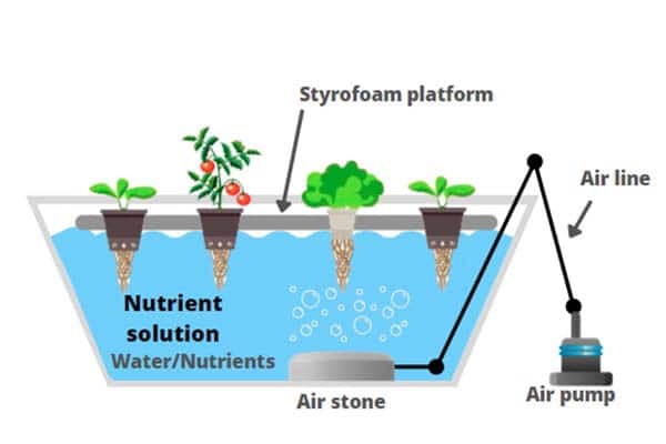 sistem Bubbleponic tanaman