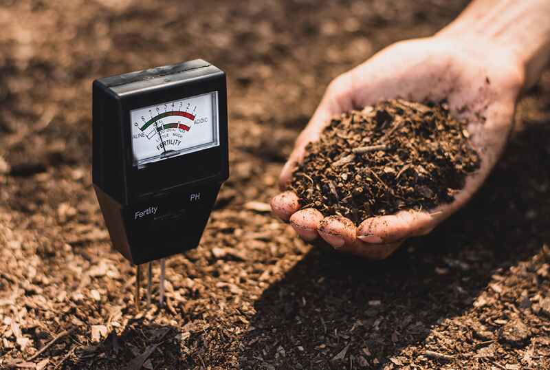 Jenis alat ukur pH tanah paling akurat