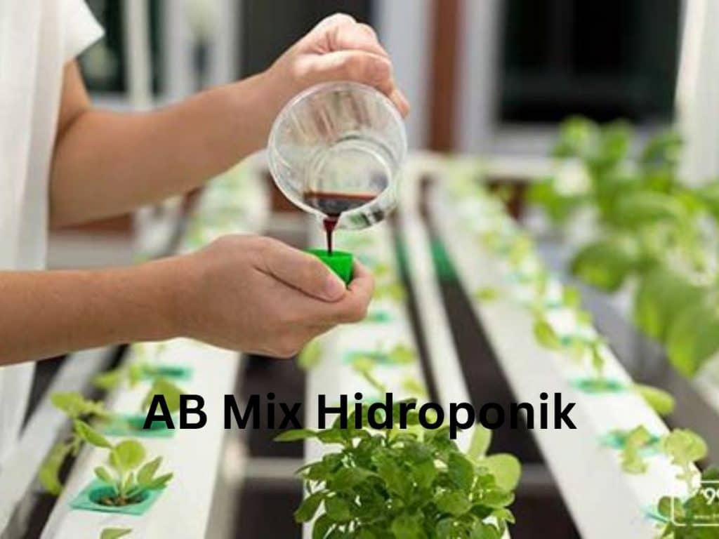 AB Mix hidroponik