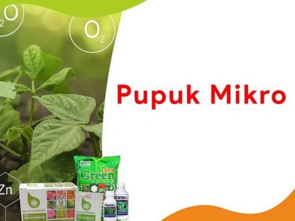 Pupuk mikro lengkap